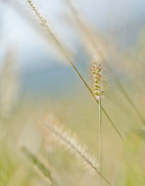 Ethik Code Boyinform
